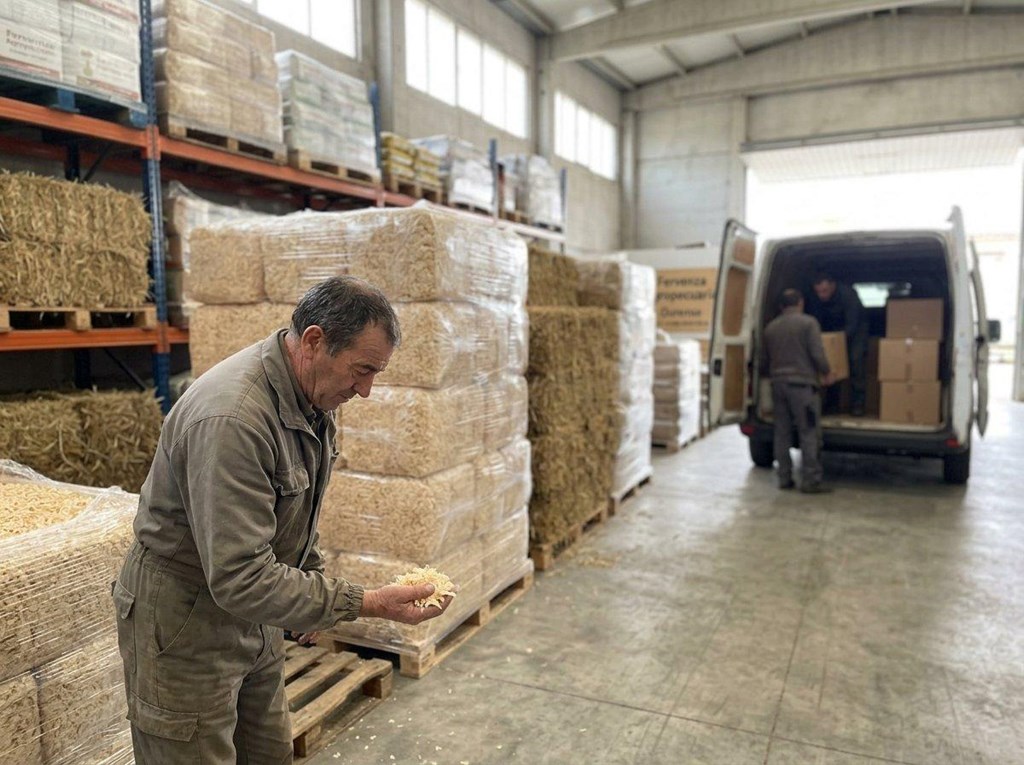Foto 1 Consigue alpacas de viruta y hierba de calidad en Ourense