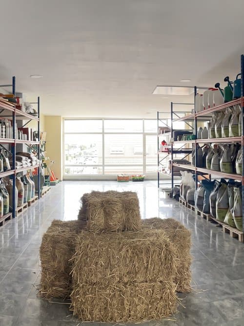 Alpacas de viruta y de hierba en Fervenza Agropecuaria en Ourense