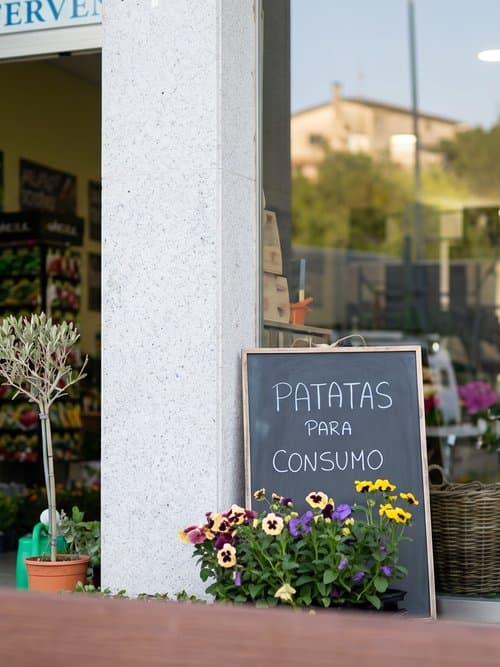 Patatas para siembra y consumo en Fervenza Agropecuaria en Ourense