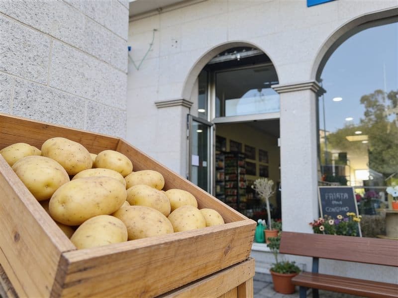 Patata de consumo para cocinar en Fervenza Agropecuaria en Ourense