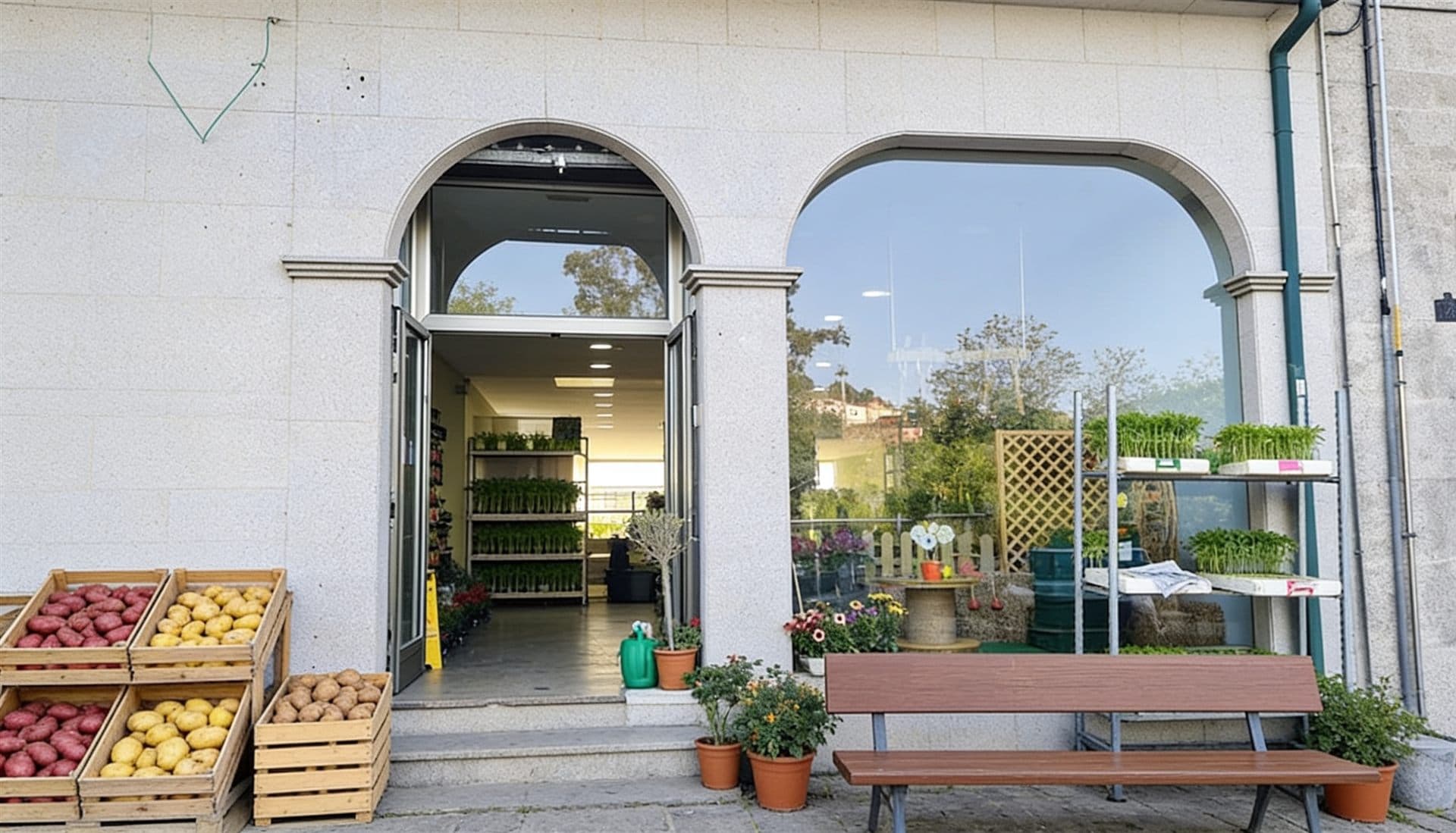 Variedades de patata seleccionadas en Fervenza Agropecuaria en Ourense
