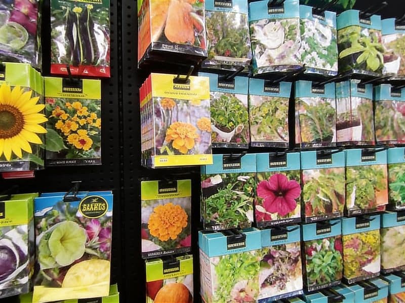 Semillas de flores ornamentales en Fervenza Agropecuaria en Ourense