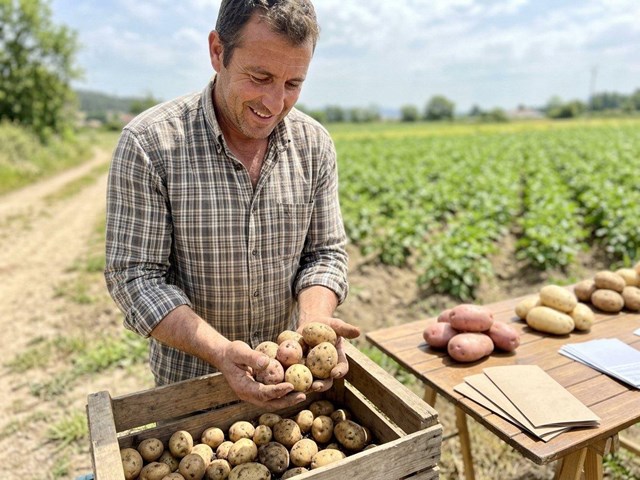 Prepara tu cosecha con nuestras patatas de siembra y de consumo en Ourense